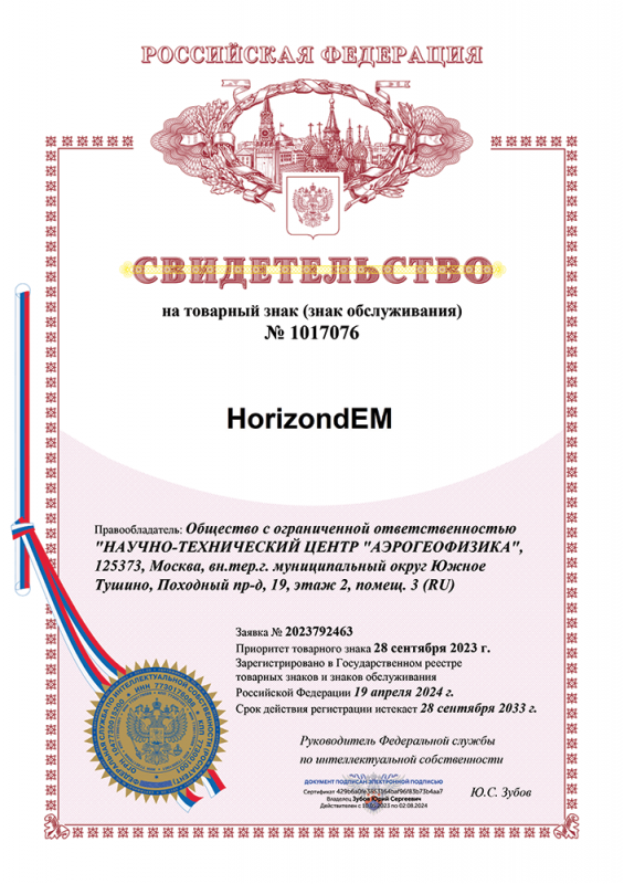 Свидетельство HorizondEM